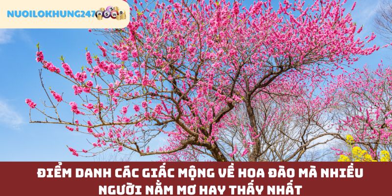 Tóm tắt một số giấc mộng về hoa đào cùng ý nghĩa tương ứng theo từng trường hợp