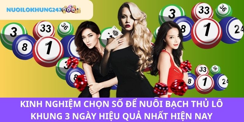 Điểm qua các phương pháp chọn số hay như cao thủ để nuôi bạch thủ lô khung 3 ngày bất bại tuyệt đối chính xác 100