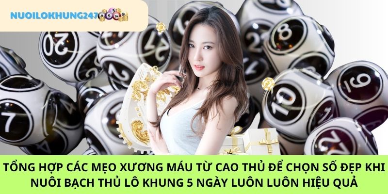 Bỏ túi một số tips bắt số chuẩn khi nuôi bạch thủ lô khung 5 ngày để luôn bất bại và ăn quanh năm