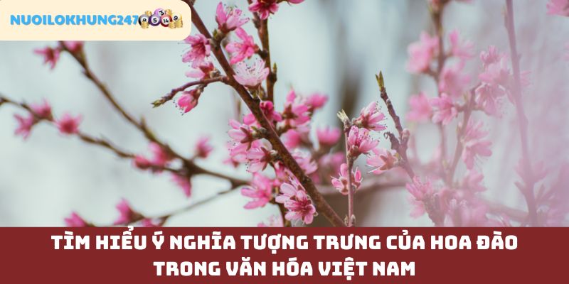 Trong văn hóa Việt Nam hoa đago mang hình ảnh vô cùng đặc biệt