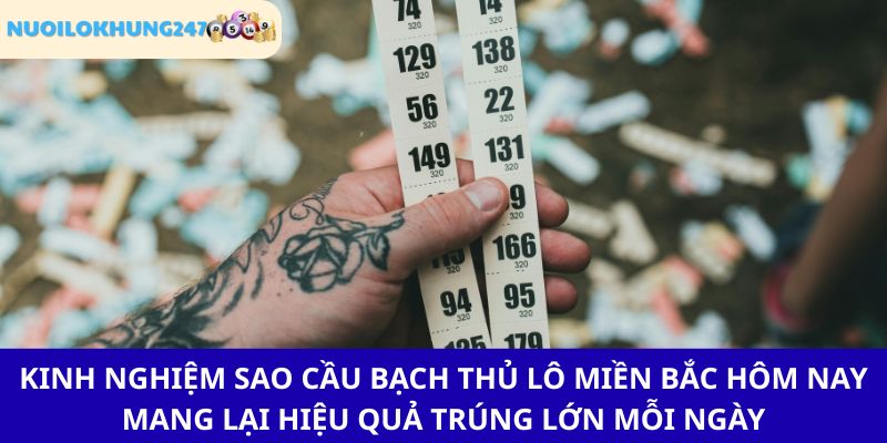 Bí kíp soi cầu bạch thủ lô miền Bắc hôm nay "đánh đâu trúng đó" từ chuyên gia