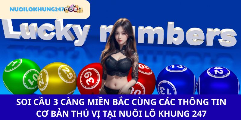 Tổng quát sơ bộ về thuật ngữ đánh số đề hiệu quả soi cầu 3 càng miền Bắc tại Nuôi Lô Khung 247