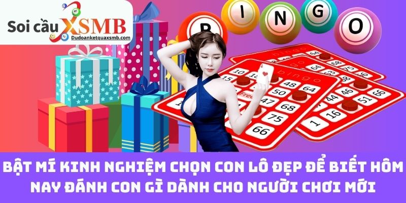 Bật Mí Kinh Nghiệm Chọn Con Lô Đẹp Để Biết Hôm Nay Đánh Con Gì Dành Cho Người Chơi Mới