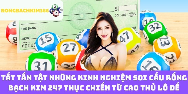Tất tần tật những kinh nghiệm soi cầu Rồng Bạch Kim 247 thực chiến từ cao thủ lô đề